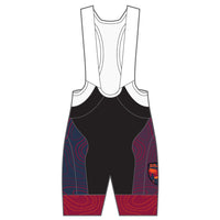 APEX+ Indoor Bib Shorts