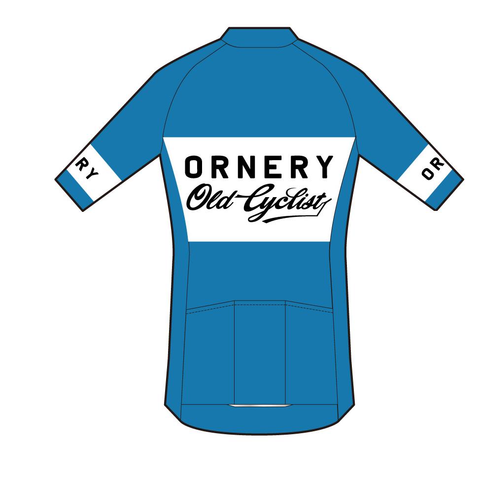PERFORMANCE+ ECO Jersey